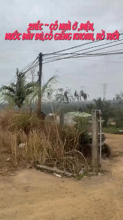 Đất rẫy 1440m² tại Thôn Thanh Xuân, Krông Năng - Giá chỉ 5.67 tỷ VND!