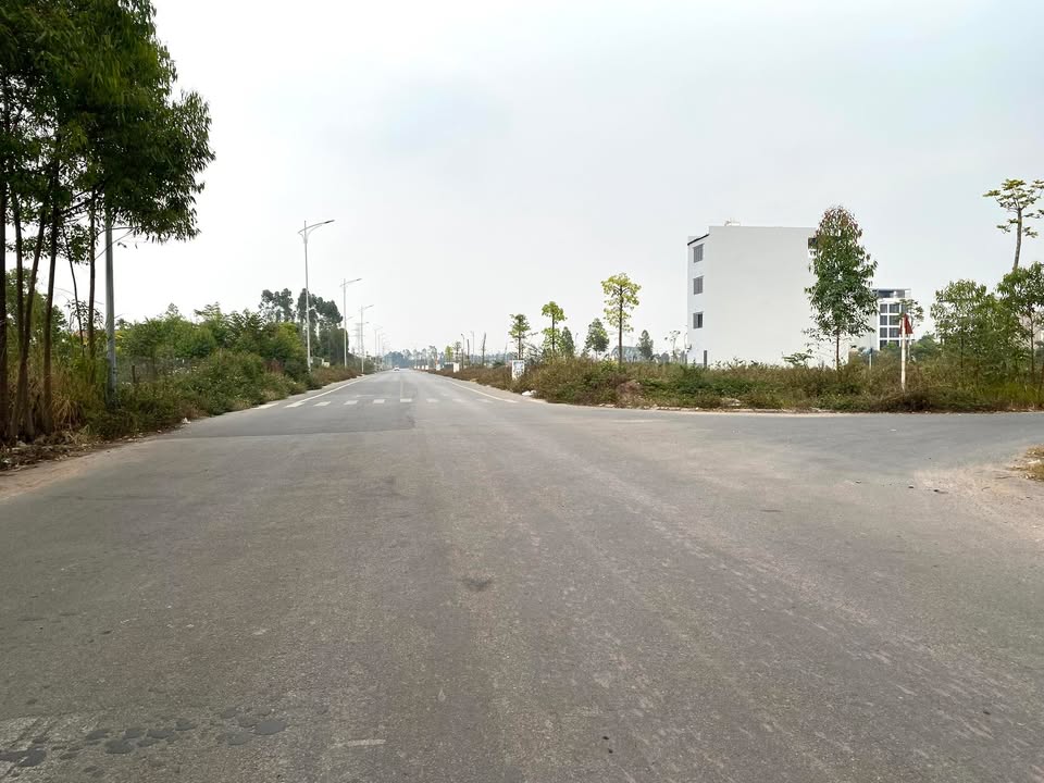 Đất Làn 1 Song Khê - TP. Bắc Giang 80m² giá 3 tỷ - Kinh doanh sầm uất!