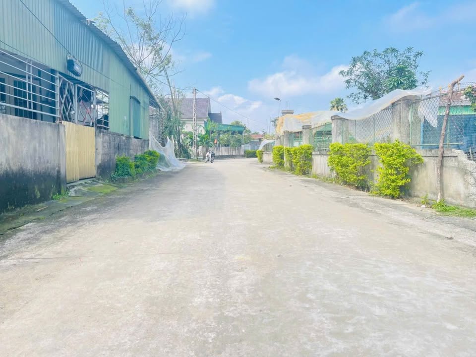 Đất thổ cư thôn Liên Giang, xã Mai Phụ, 184m² giá 980 triệu - Đầu tư sinh lời tốt!