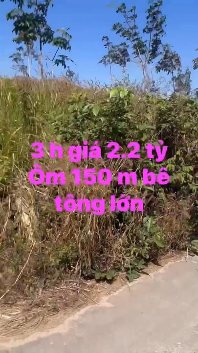 Đất nền xã Quảng Phú, huyện Đức Trọng, 150m² - Đầu tư sinh lời ngay!