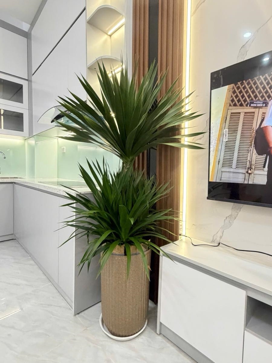 Nhà phố Thụy Khuê Tây Hồ 22m² giá 7,79 tỷ - Cơ hội hiếm có!