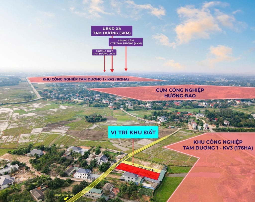 Đất nền 100% thổ cư Hướng Đạo, Tam Dương 100m² giá 1.21 tỷ - Đầu tư sinh lời ngay!