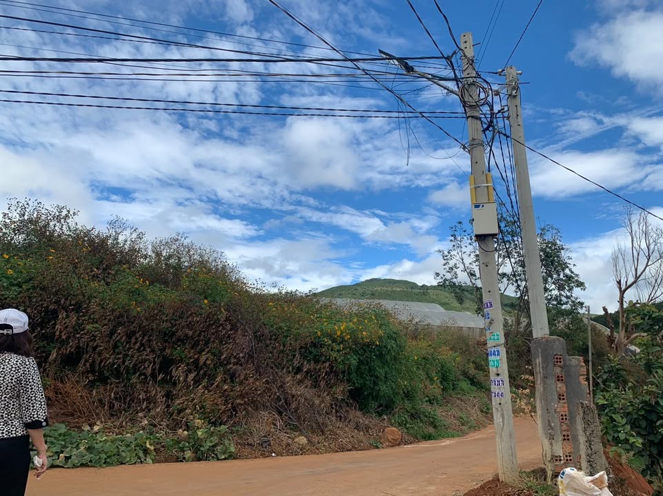 Đất thổ cư 100m² tại Hiệp An, 324m² giá chỉ 2 tỷ - Cơ hội đầu tư tuyệt vời!