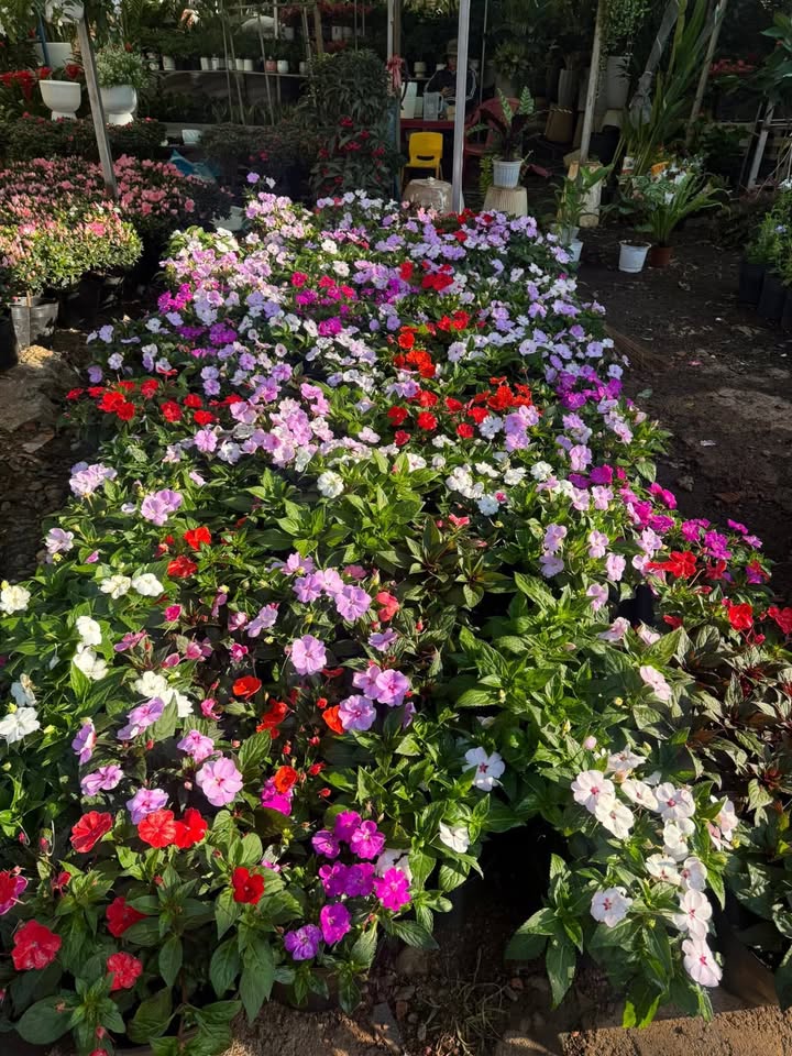 Căn hộ mini cho thuê tại xã Hòa Thắng, 2 phòng ngủ, giá 3.8 triệu/tháng - Không gian yên tĩnh, thoáng mát!