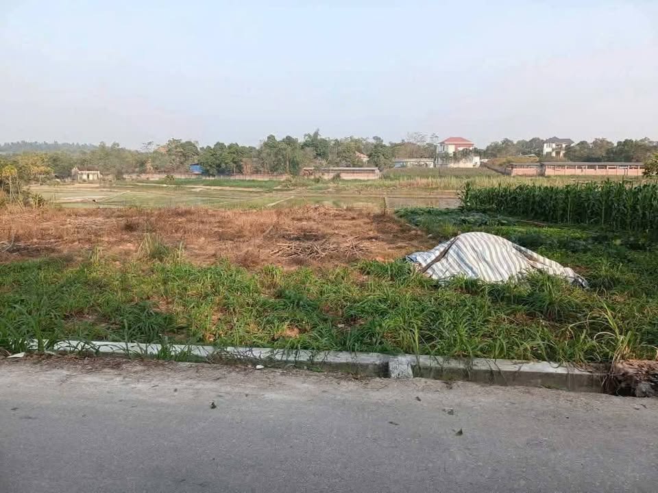 Đất thổ cư tại Thôn Tự Do, Tam Dương 106.5m² giá chỉ từ 600 triệu