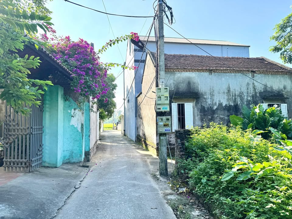 Đất nền lô góc 80m² đường Văn Lâm giá 1.7 tỷ - Cơ hội đầu tư hiếm có!