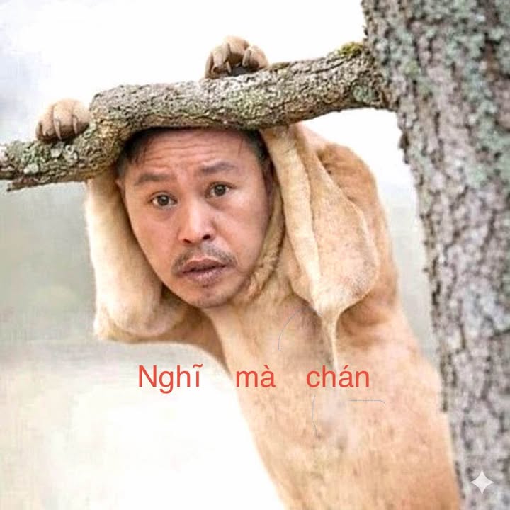 Đất mặt tiền đường rộng tại Đắk Năng 1000m² giá chỉ 500 triệu - Đầu tư sinh lời!