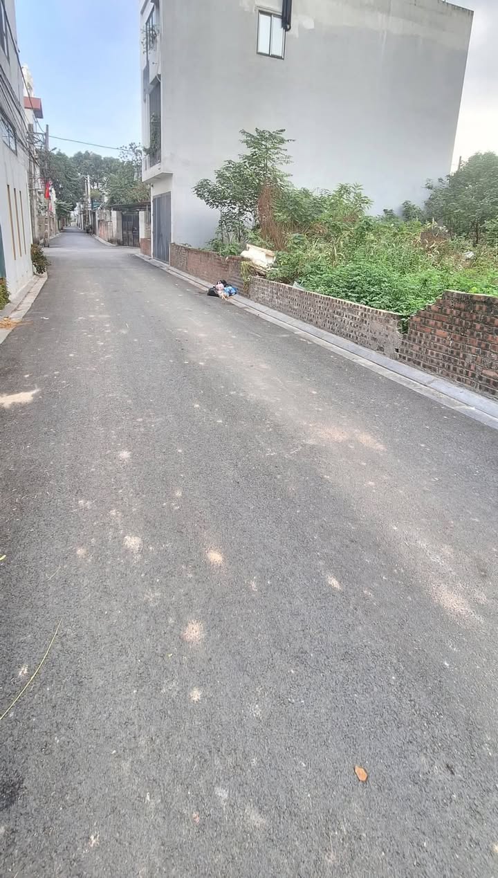 Đất nền bìa làng Vân Nội 83m² giá thỏa thuận - Đường ôtô tránh nhau