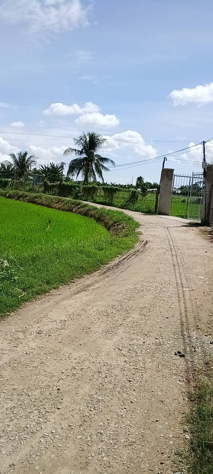 Đất nền Phước Hậu, Ninh Phước 3.779m² giá chỉ 831 triệu - Đầu tư sinh lời ngay!