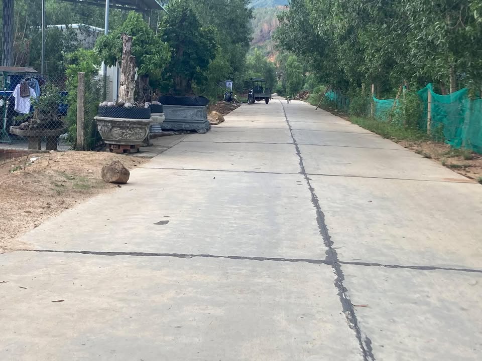 Đất nền Cát Tường, Phù Cát 140m² giá thỏa thuận - Cơ hội đầu tư hấp dẫn!