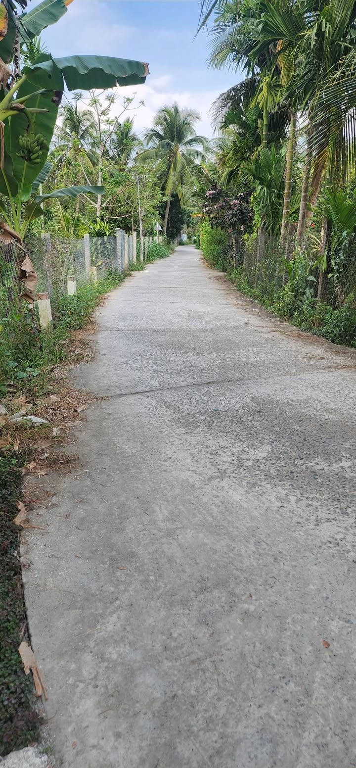 Đất nền 2300m² tại Xã Hưng Khánh Trung, Bến Tre - Cơ hội đầu tư hấp dẫn!