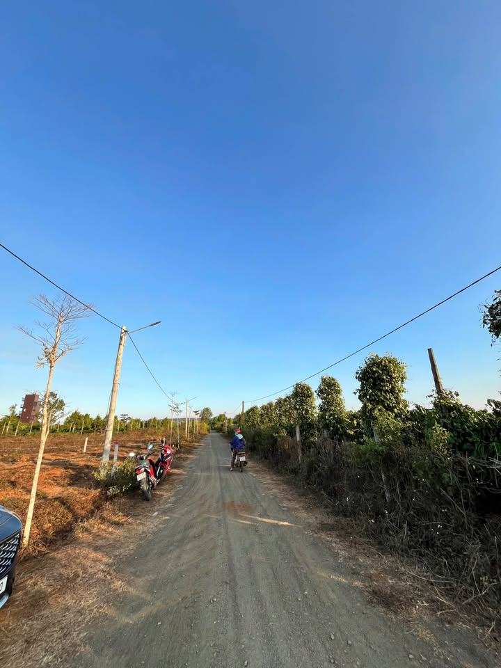 Đất nền Hẻm Nguyễn Kiệm, Huyện Ia Grai, 160m² - Giá tốt, pháp lý rõ ràng!