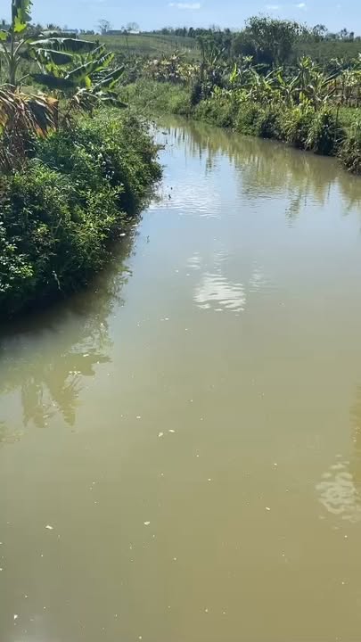 Đất nông nghiệp 1 hecta tại An Phú, Pleiku - Cơ hội đầu tư tuyệt vời!