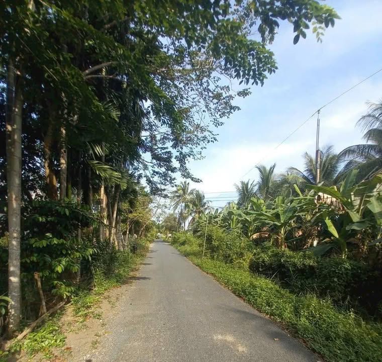 Đất cho thuê tại xã Trà Côn, huyện Trà Ôn, 16.500m² - Giao thông thuận lợi!