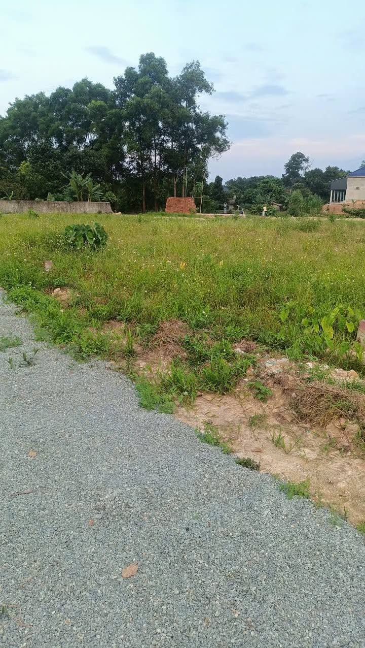 Đất nền xã Cẩm Quang, huyện Cẩm Xuyên 240m² - Đường nhựa 6m, giá thỏa thuận!