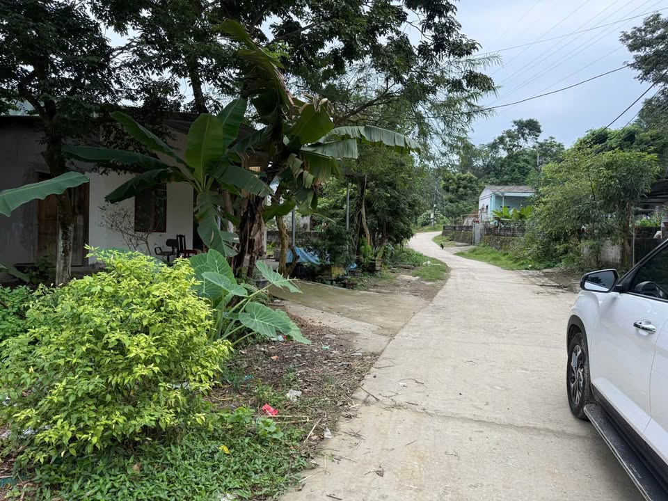 Đất nền thôn Củm Hạ 2, xã Đồng Tuyển 600m² giá 1.65 tỷ - Sổ đỏ chính chủ!