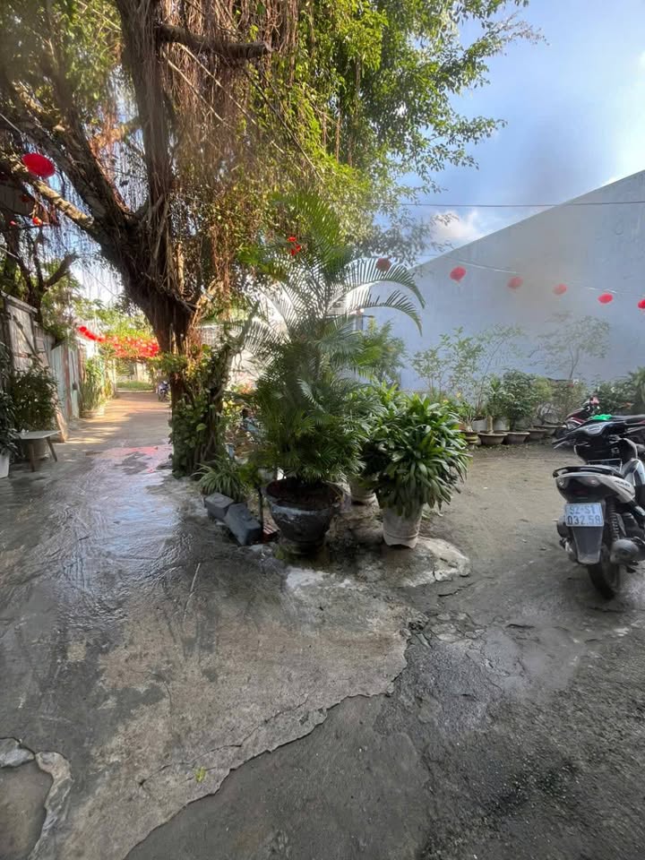 Đất nền chính chủ 80m² tại Trường Chinh, Hòa An - Đầu tư sinh lời ngay!