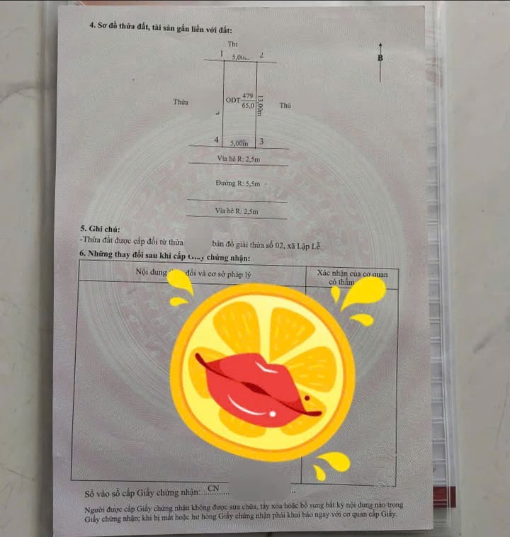 Đất nền VISIP Thủy Nguyên 100m² giá chỉ 3 tỷ - Cơ hội đầu tư sinh lời!