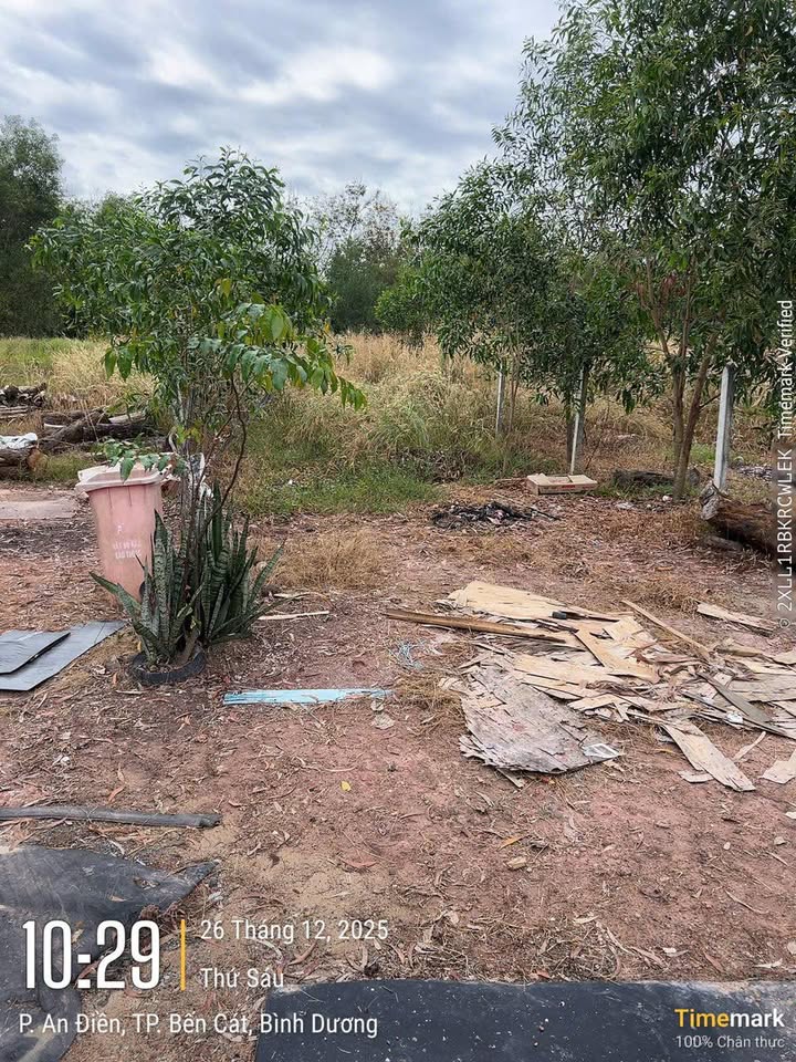 Đất nền đường nhựa 8m An Điền 250m² giá 1.3 tỷ - Cơ hội đầu tư hấp dẫn!