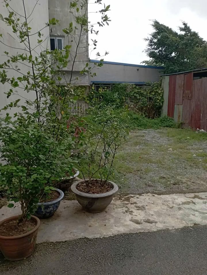 Đất nền Yết Kiêu, Nam Định 58.5m² giá 2.65 tỷ - Ô tô đỗ cửa, hướng Tây