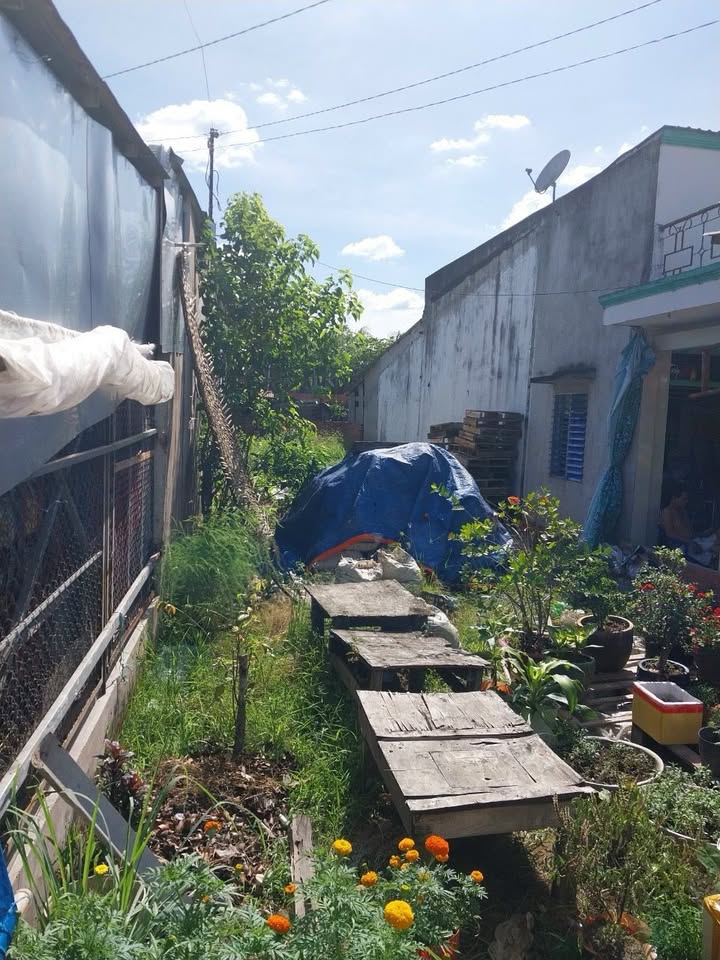 Đất nền thổ cư 139m² tại Phường Phước Thới, Cần Thơ chỉ 1 tỷ - Hướng Bắc, cơ hội đầu tư tốt!