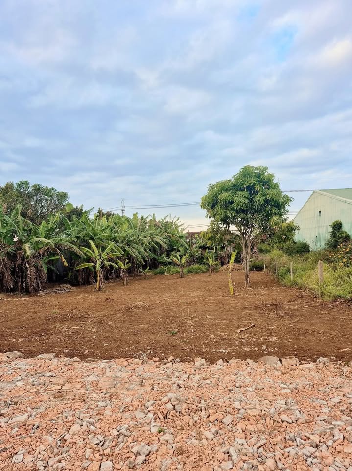 Đất nền Phan Chu Trinh, Pleiku 138m² giá 700 triệu - Cơ hội đầu tư tuyệt vời!