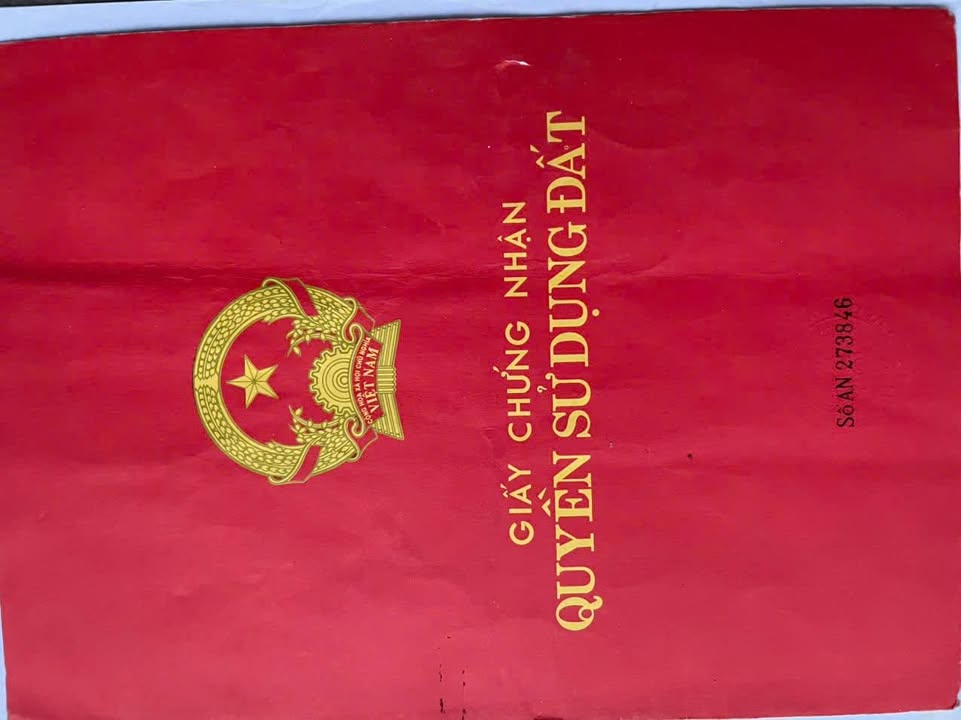 Đất thổ cư thôn Hoa Trung, xã Bình Tường, 216m² - Cơ hội đầu tư hấp dẫn!