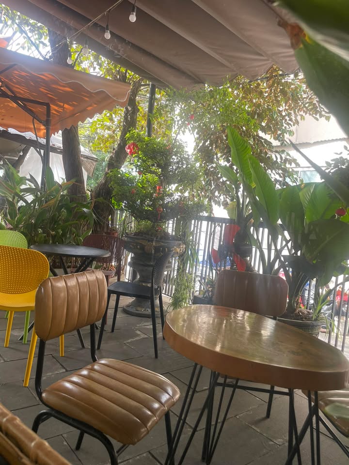 Đất nền đẹp Trần Ngọc Sương, Cẩm Lệ 120m² giá 4 tỷ - Cơ hội đầu tư hiếm có!