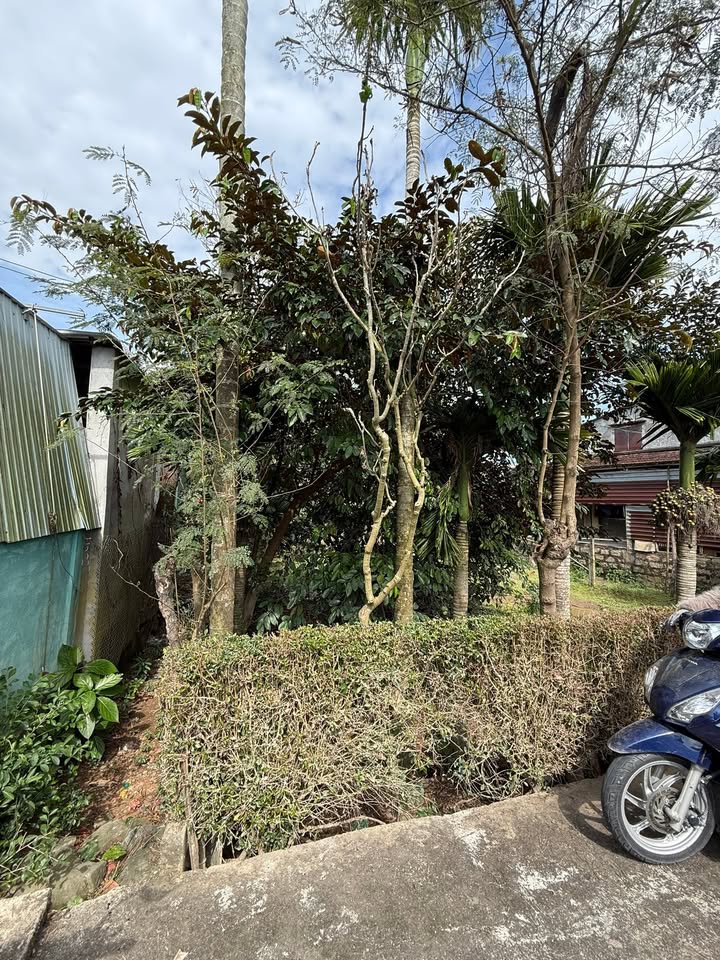 Đất nền Duy Phước - 100m² giá 500 triệu - Đường Chu Văn An, thuận tiện đầu tư!