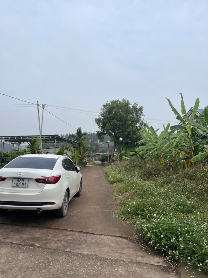 Đất nền Tiên Lục - Lạng Giang 146m² giá chỉ vài trăm triệu - Cơ hội đầu tư tuyệt vời!