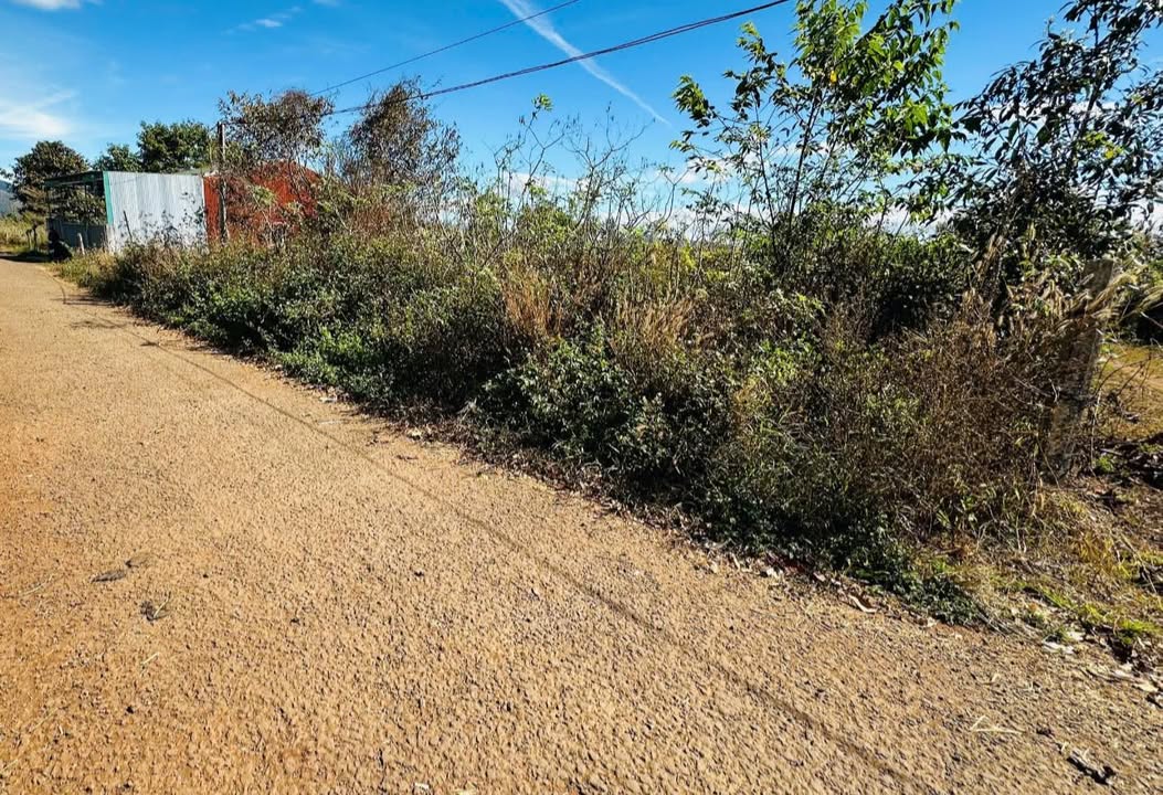 Đất nền làng Dút 1, huyện Ia Grai, 260m² giá chỉ 400 triệu - Đầu tư sinh lời ngay!