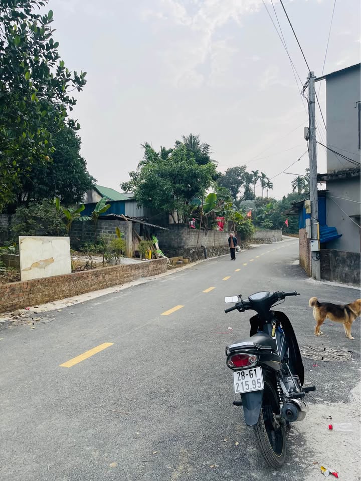 Đất thổ cư 135,6m² tại thị trấn Kim Bài - Giá nhỉnh 2 tỷ, sổ đỏ chính chủ!