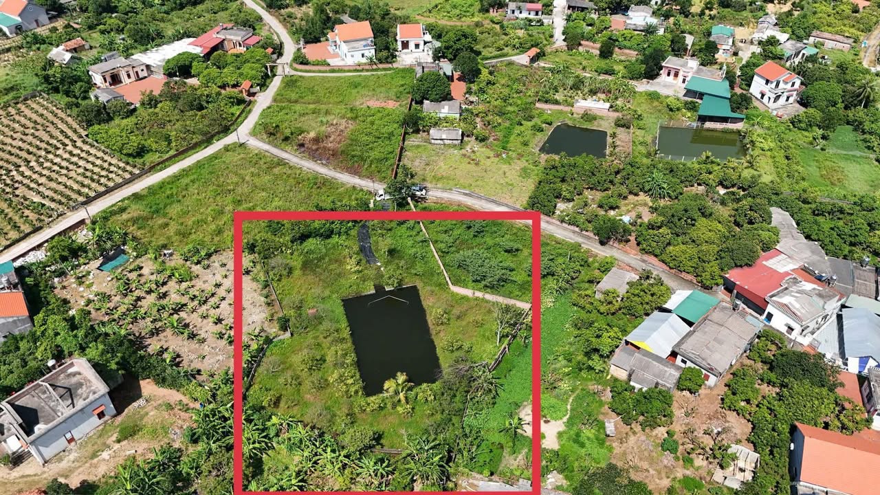 Đất nền 1000m² tại Đa Cốc Lê Lợi, Hải Dương - Đầu tư sinh lời hấp dẫn!