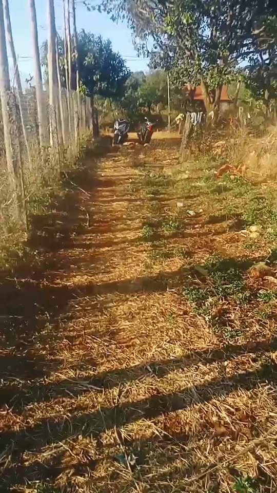 Bán rẫy cà phê ở Ia Le 2520m² giá 1.5 tỷ - Đường bê tông đẹp