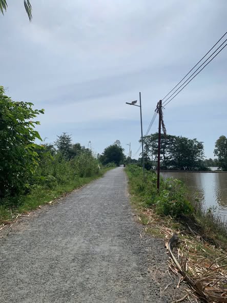 Đất ruộng mặt tiền đẹp 5000m² giá 500 triệu - Cơ hội đầu tư tuyệt vời!