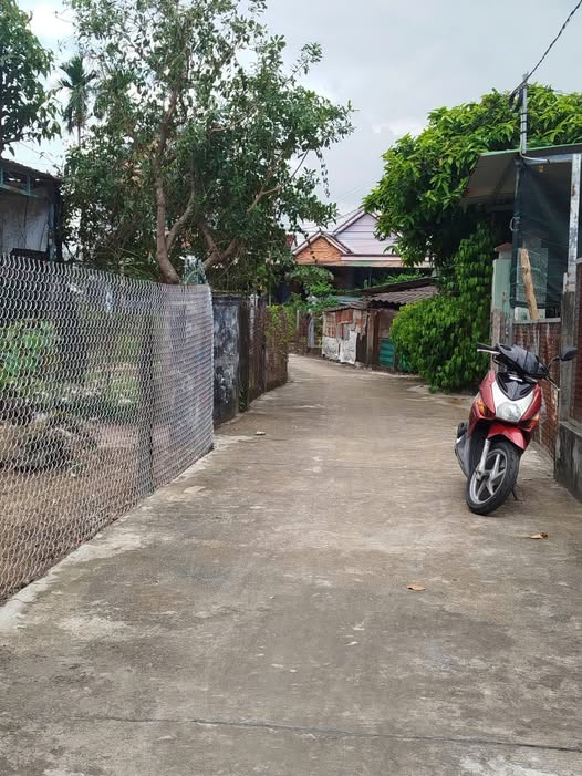 Bán vườn đẹp tại Nghĩa Dõng, Quảng Ngãi 208m² - Tặng nhà cấp bốn!