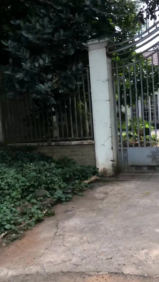 Đất nền Xuân An Long Khánh 150m² giá 3 tỷ - Thông tứ hướng, vị trí đắc địa!