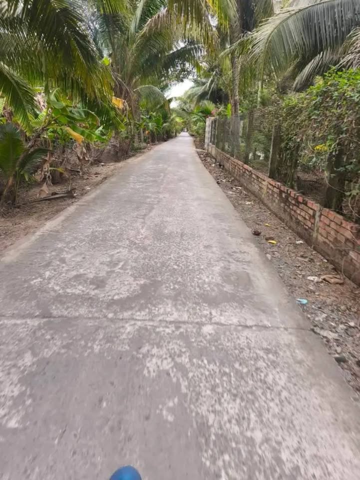 Đất dưỡng già 5.347m² tại Ấp 7, Giồng Trôm - Giá chỉ 2.041 tỷ!