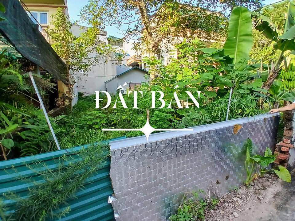 Đất nền khu tái định cư Quỳnh Đô, Thanh Trì 92.5m² giá 6 tỷ - Sổ đỏ chính chủ!