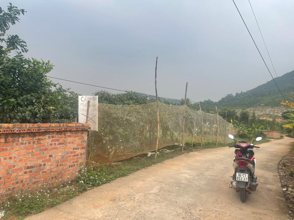 Đất thổ cư Xã Lê Lợi 175m² giá tốt - Đường bê tông rộng rãi!