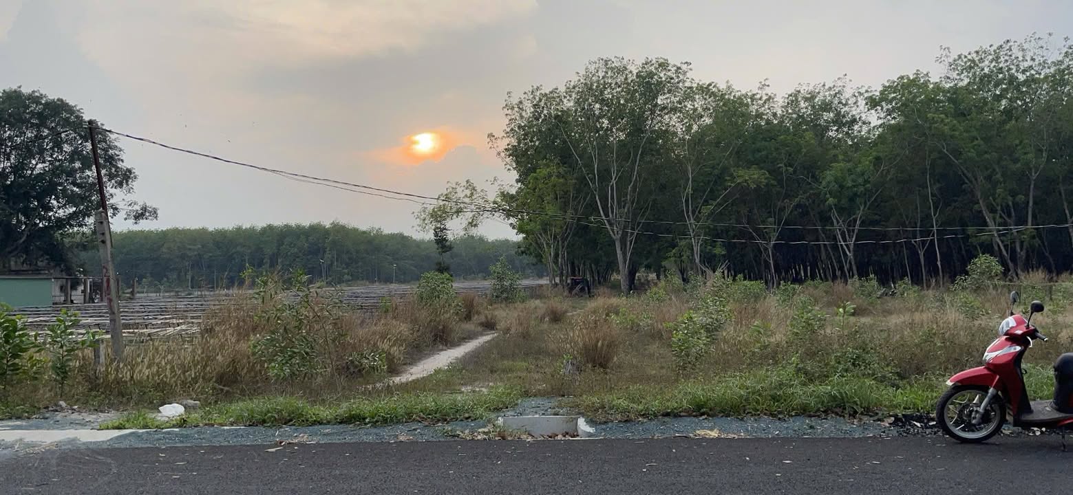 Bán FrontHouse mặt tiền đường số 8, Huyện Chơn Thành, Diện tích 500m² - Cơ hội đầu tư hấp dẫn!