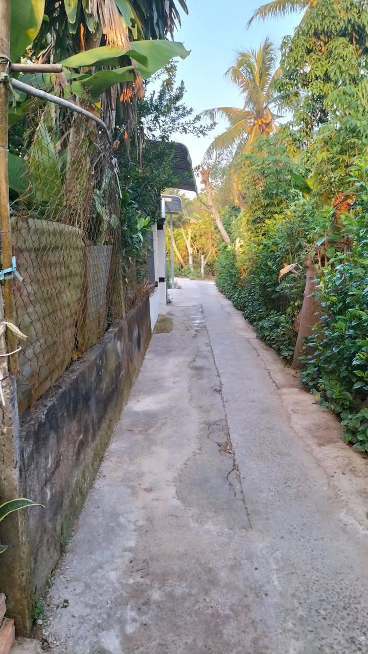 Đất nền thổ cư Hẻm 3Gát, Phường Tân Ngãi, 95m² giá 500 triệu - Cơ hội đầu tư hấp dẫn!