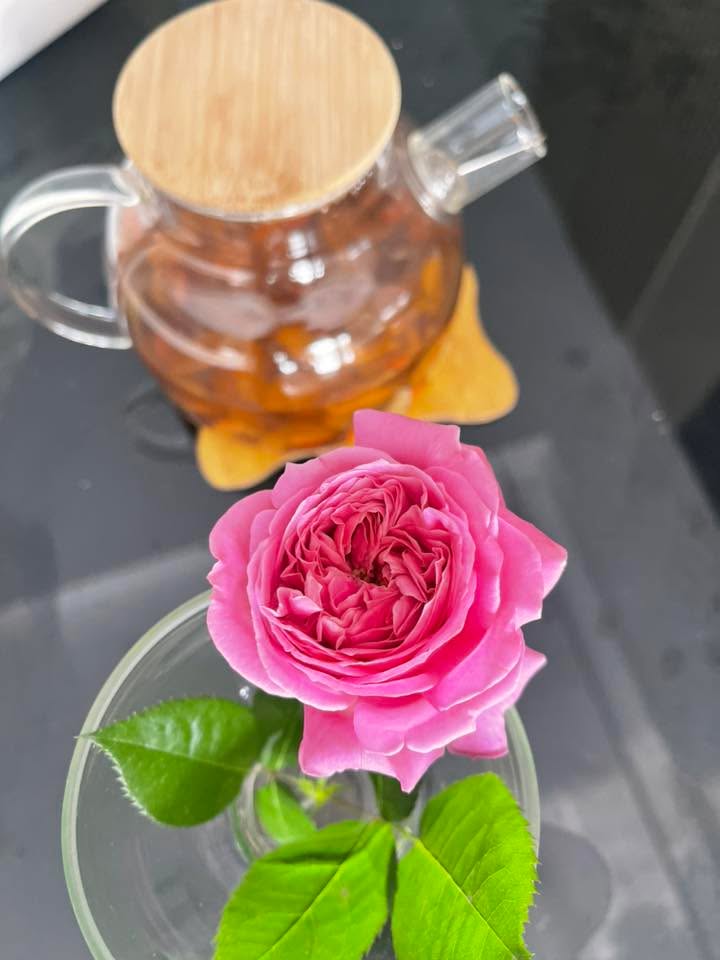 Đất nền Quảng Thành 97m² giá chỉ 4 tỷ - Cơ hội đầu tư tuyệt vời!