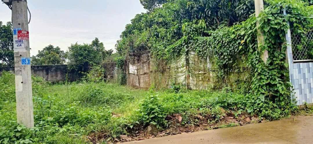 Đất nền chính chủ Khóm 2, Phường 8, TP Trà Vinh 115m² - Giá chỉ 500 triệu