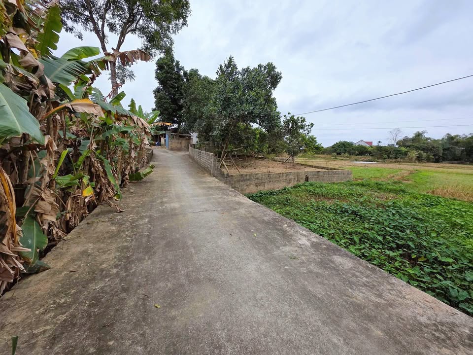 Đất nền Hoàng Vân 100m² giá 500 triệu - Cơ hội đầu tư hiếm có!