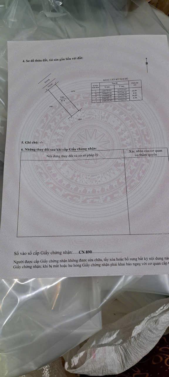 Đất nền Xã Trung Hòa, Huyện Yên Mỹ 81m² giá 4 tỷ - Tiềm năng tăng giá lớn!