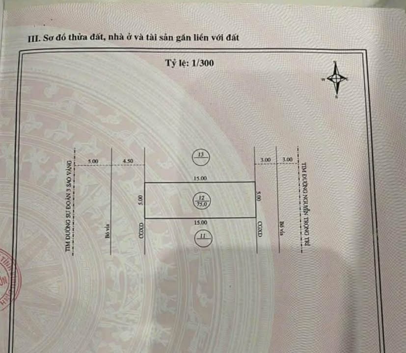 Đất 2 mặt tiền đường Sư Đoàn 3 Sao Vàng, Quy Nhơn 75m² giá 3.8 tỷ - Cơ hội đầu tư hấp dẫn!
