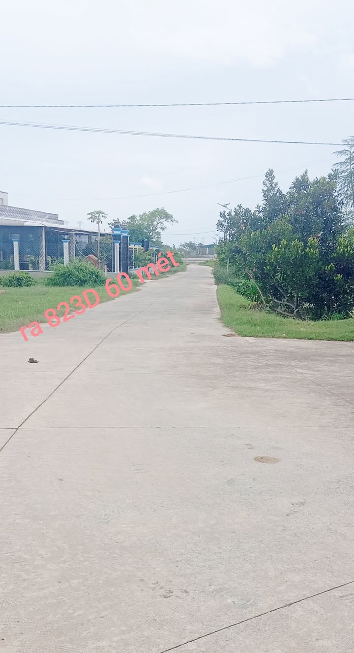 Đất nền mặt tiền đường 823D, Đức Hòa, 1147m² giá 5.55 tỷ - Cơ hội đầu tư tuyệt vời!