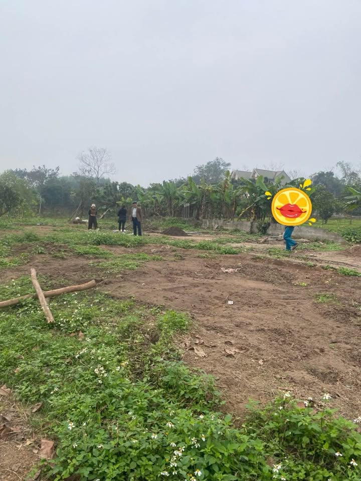 Đất nền đẹp tại Phường Bách Quang, Sông Công 200m² giá chỉ 1 tỷ - Cơ hội đầu tư hấp dẫn!