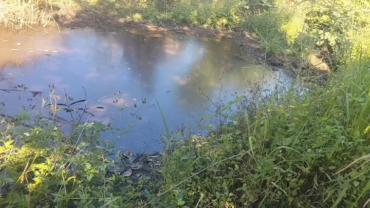 Đất nông nghiệp tại Xã Ia Dom, Huyện Đức Cơ, 15.000m² giá 280 triệu - Cơ hội đầu tư hấp dẫn!